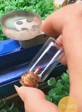 神奇的小实验-搞笑gif动态图片 - izike-izike