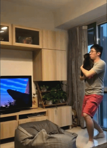 还原狮子王经典画面-搞笑gif动态图片 - izike-izike
