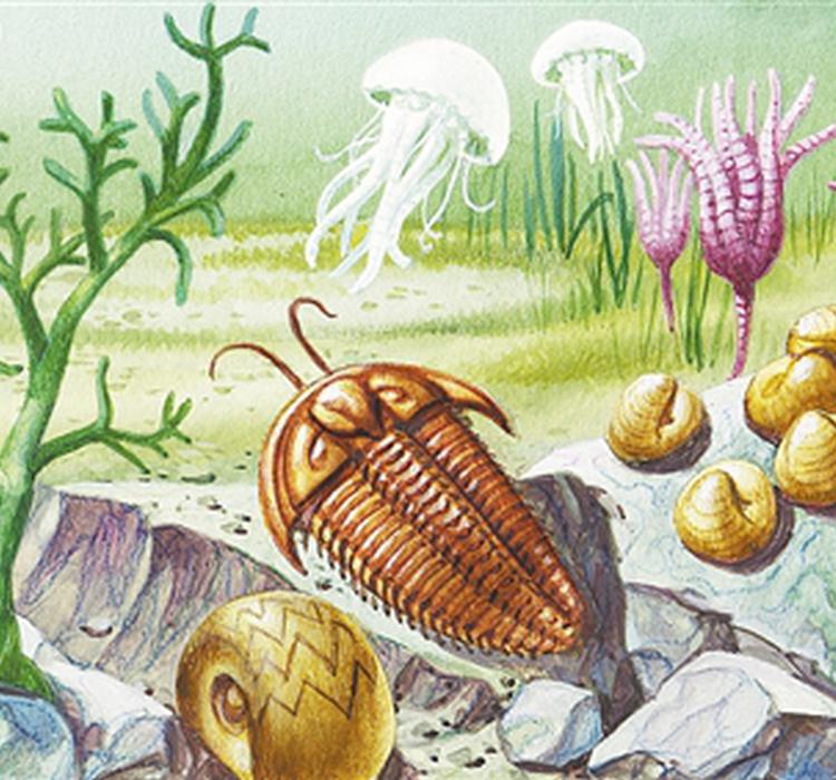 2.5亿年前 是谁“谋杀”了海洋中的八成生物