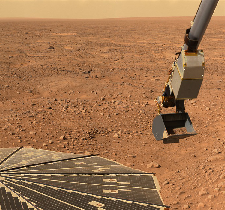 在火星上 我们能种哪些菜 手机新浪网