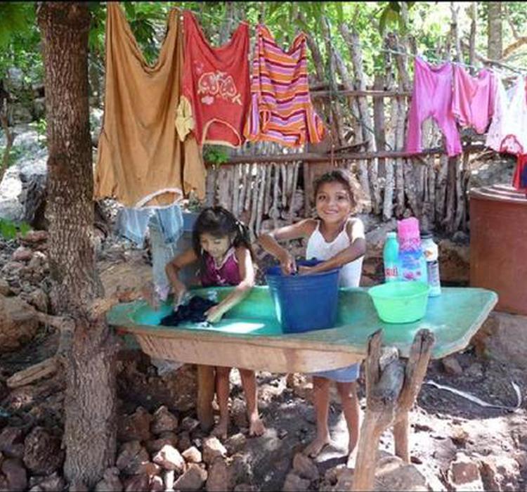 人类征服地球的秘诀 不是我们特别聪明 手机新浪网