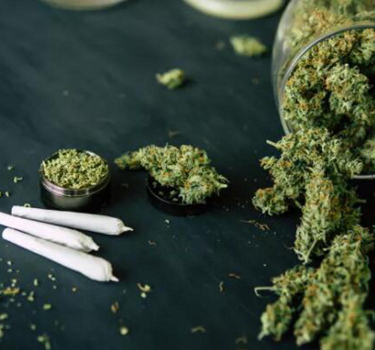 大麻是如何让人兴奋的 手机新浪网
