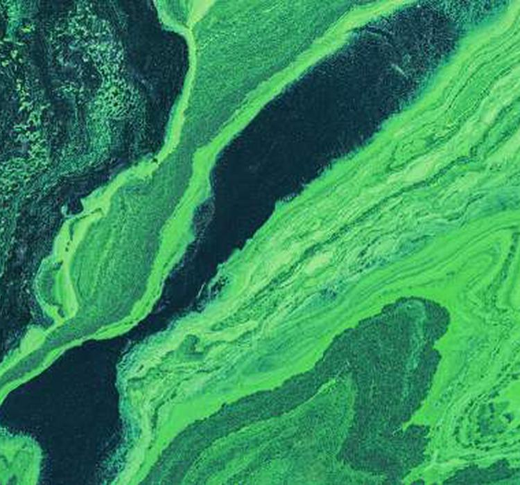 《科学大家》专栏｜迫在眉睫的全球危机：保护水环境该从何做起