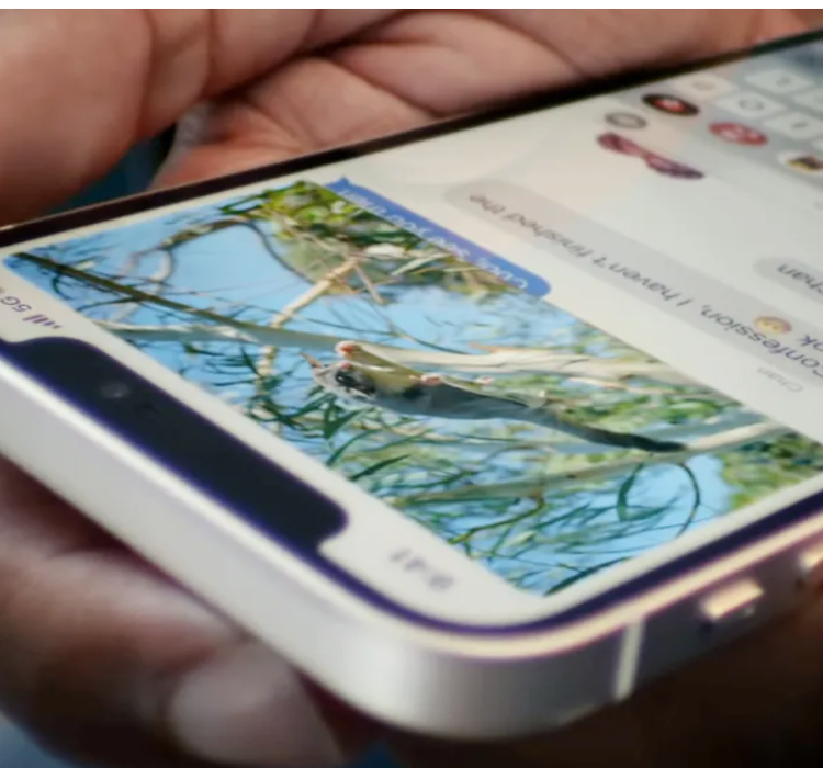 唱衰常在 苹果依旧