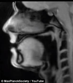 FLASH2系统能够以每秒100帧的速度生成动图。在一段视频中,一名男子正在说德语,同时舌头上固定着一枚微型摄像头。