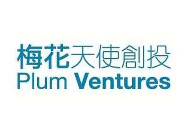 梅花天使创投