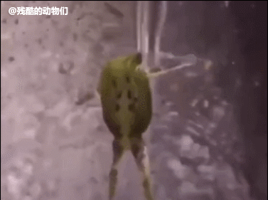 妈妈问我为什么洗澡花这么久时间-搞笑gif动态图片-izike
