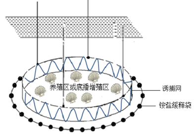 化学法防御海星布局示意图