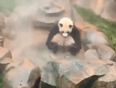 泡温泉玩水水可舒服咧-搞笑gif动态图片-izike