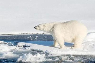 ""ֻʣ11?ȫ׃ůӄδn