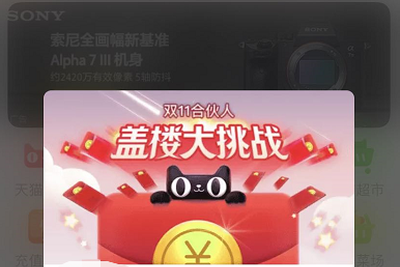 双十一“狂欢”,越来越让人看不懂