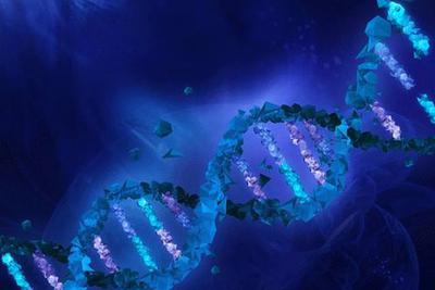 Eʯ״ΰl(f)F(xin)Ҫĺ