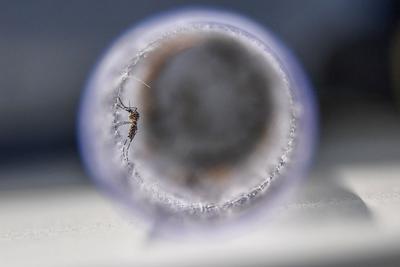 ȻʮƌW(xu)չM(jn)܊ǺͳײC(j)