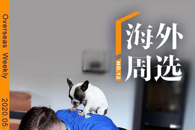 全球“抗疫”之动物篇：被忽视的杂牌军