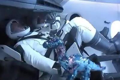 SpaceX宇航员为儿子准备惊喜：随身带了一只小恐龙