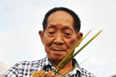 送别袁隆平：禾下乘凉梦 一梦逐一生