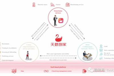 天鹅到家递交招股书：平台GTV达88亿 阿里红杉是股东 - Vimarsana News