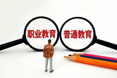 职业教育or普通教育？他们都会有光明的未来 - Vimarsana News