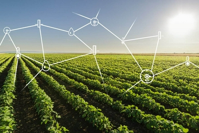 互联网巨头布局农业领域，数字技术与农业融合成趋势