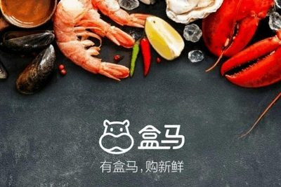 侯毅内部信宣布盒马NB事业部成立：欲打造"普惠版盒区房"|盒马事业群|盒马 - Vimarsana News
