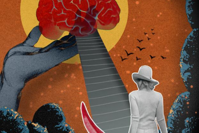 2021年诺贝尔生理学或医学奖：以辣椒为钥，解躯体感受之谜