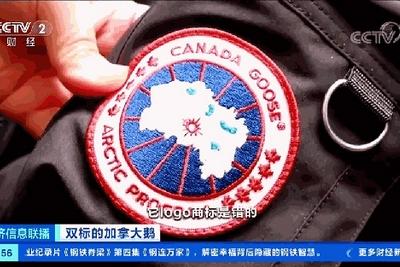 加拿大鹅凭啥那么“飘”？中国消费者待遇该提高“水位”了