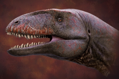 2021年的十个恐龙神奇大发现：首个保存完好的恐龙“屁眼”