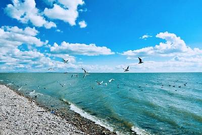 内蒙古第一大湖水域面积达2237.5平方公里 生态系统有效恢复