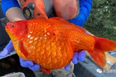 Qzzuvfvdnaszdm Qzzuvfvdnaszdm