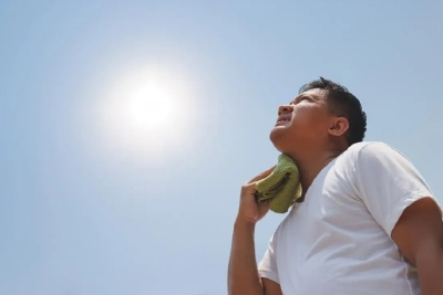 《科学》：人为什么会被热死？中国科学家揭秘中暑致死关键机制