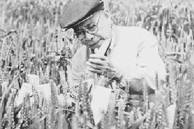 我国小麦遗传育种学科主要奠基人庄巧生院士逝世