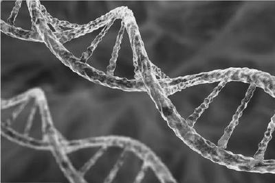 单一基因突变使人类更易患癌