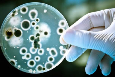 “传感器细菌”可获取肠道健康信息