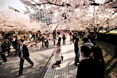 拍极简花卉，照片高级又好看
