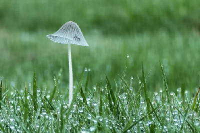 为什么越来越多人喜欢放低手机拍照？