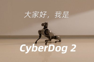 【CyberDog 2大放送】注意看，这个小伙儿叫铁蛋！