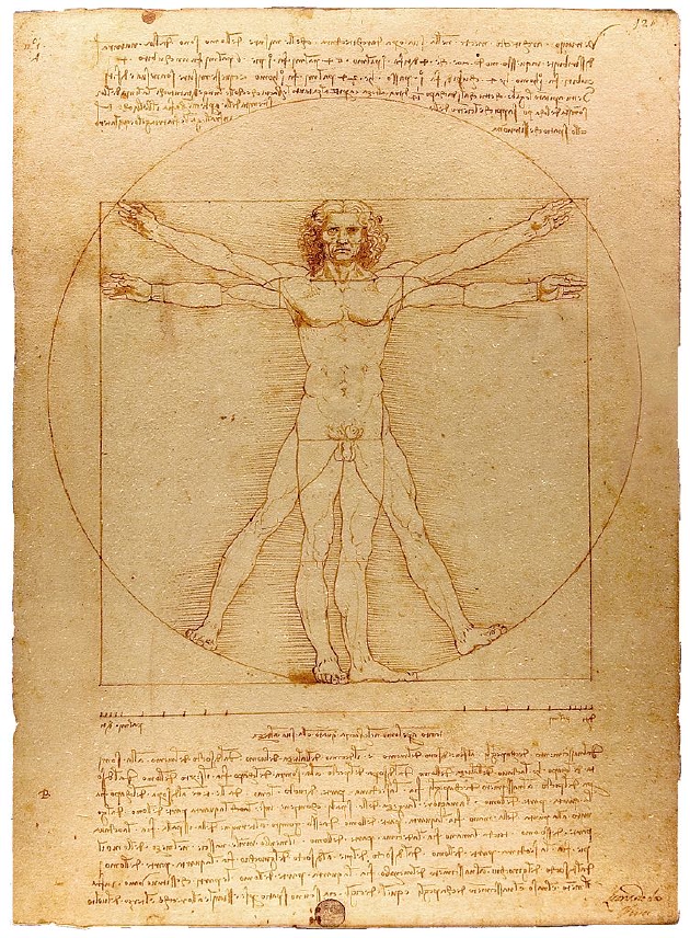 达芬奇的《维特鲁威人》是基于他心中的完美人体绘制的，但对“完美”的看法未来可能会变得截然不同。