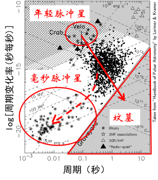 图6 正常情况下，脉冲星大致沿着带箭头红色实线生老病死。小部分脉冲星靠着吸积伴星物质，沿着带箭头红色虚线发育成毫秒脉冲星。