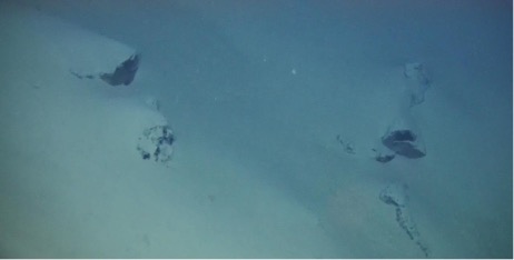 “海斗一号”拍摄到的海底地形