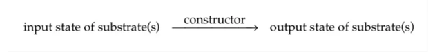 建构子理论的基本成分是建构子、输入基质和输出基质。建构子是能够引起特定物理变换，并保留再次进行这种变换的能力的任何对象。输入基质是呈现给建构子的物理系统，输出基质则是建构子对输入基质进行变换后产生的物理系统