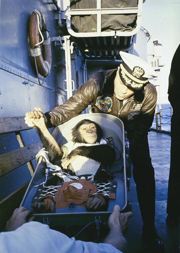 安全降落后，哈姆从太空舱中出来后，紧握着一名救援小组成员的手。