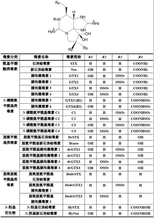 麻痹性贝毒种类与结构