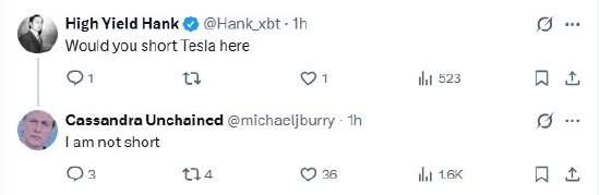 “大空头”Michael Burry：未做空特斯拉股票