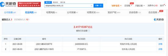 银隆新能源被执行总金额超2亿 董明珠万达集团为其股东