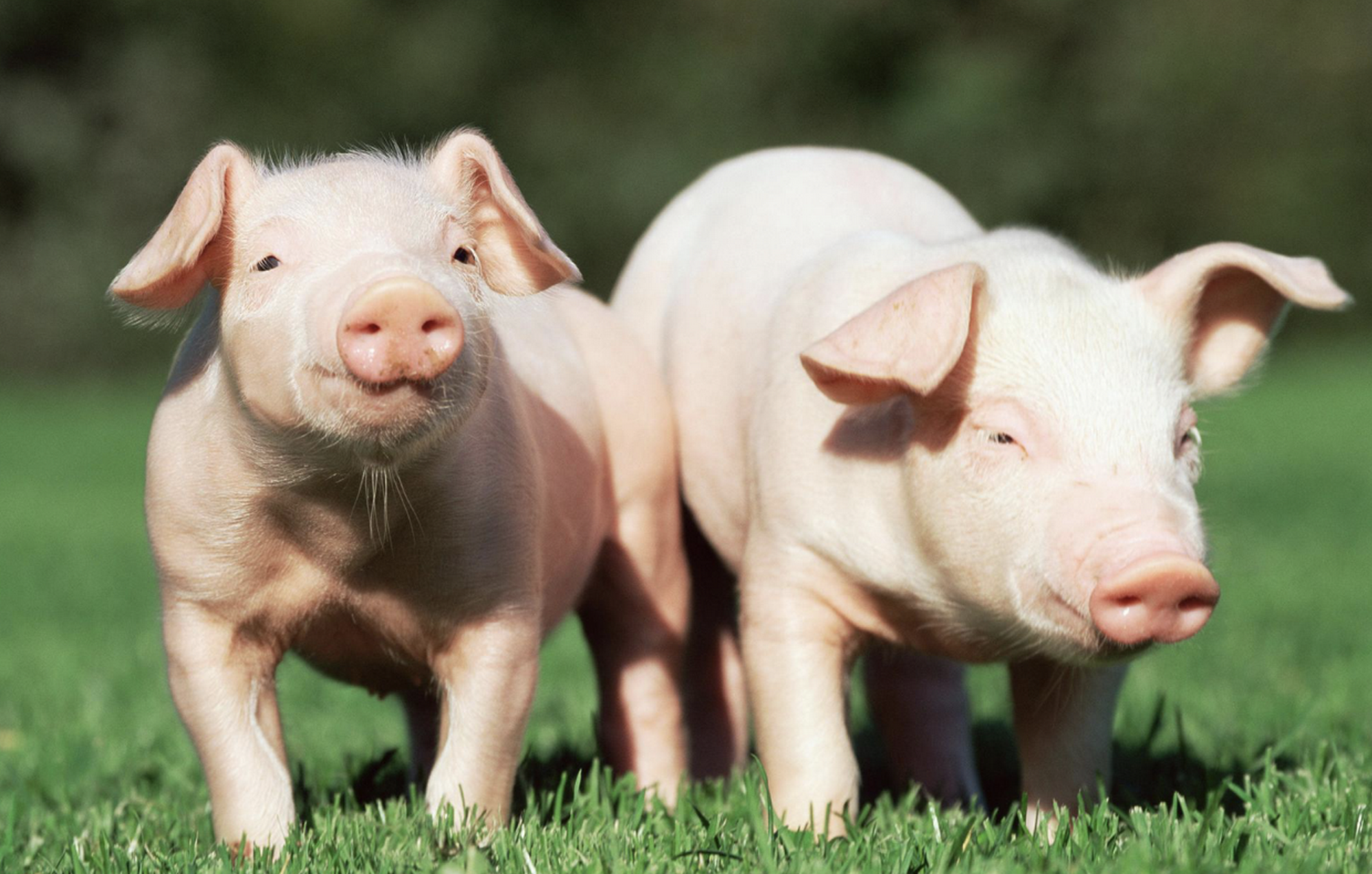 见财经2小时前 金融八卦女3小时前 德林社4小时前 阿尔法工场5小时前