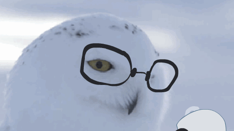 猛禽雪鸮  哈哈哈好魔性-搞笑gif动态图片-izike
