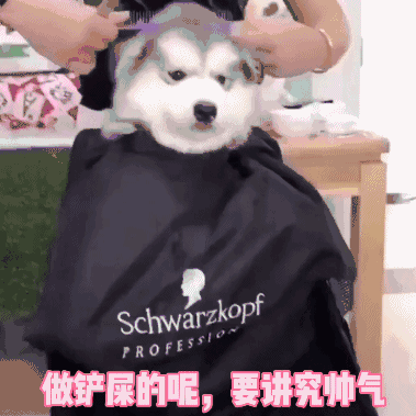 做汪 需要注重形象管理-搞笑gif动态图片 - izike-izike