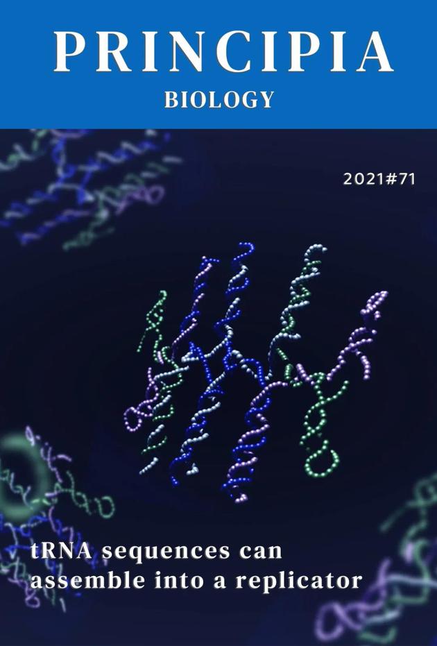 转运RNA：生命起源中的一种复杂关联