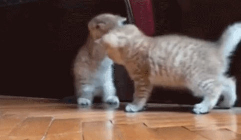 碰瓷现场-搞笑gif动态图片-izike