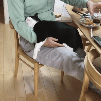 做一只幸福的猪就是好-搞笑gif动态图片 - izike-izike